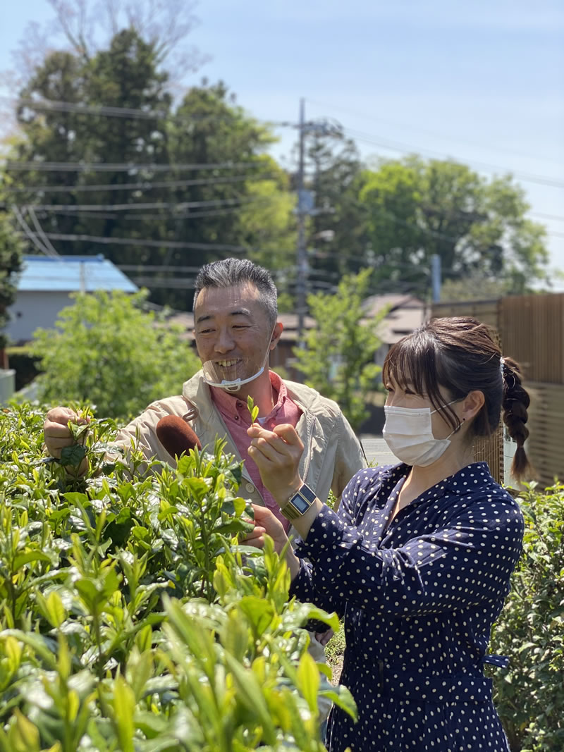 湘南のfm放送局 レディオ湘南fm 1mhz 藤沢市広報番組 ハミングふじさわ